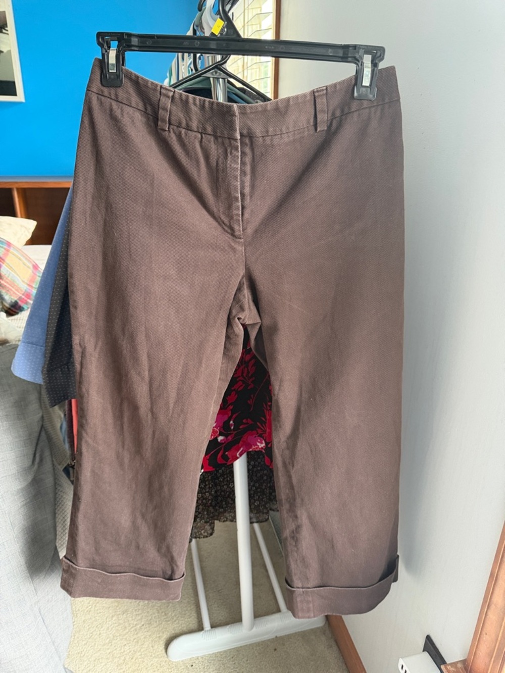 Ann Taylor Brown Cuffed Crop Bermuda Shorts
